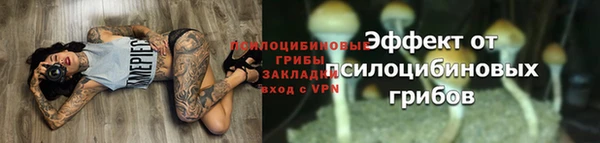 соль курить ск Бородино