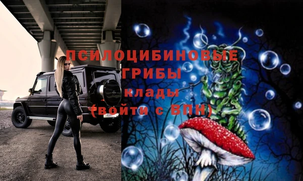 Альфа ПВП Россошь